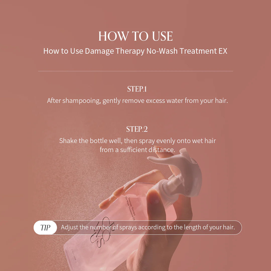 Damage Therapy No-wash Treatment EX Trueme