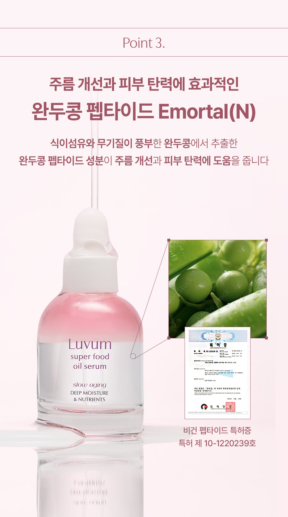 Slow Aging Super Food Oil Serum